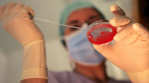 Fecondazione assistita: chi è affetto da malattie genetiche non potrà beneficiarne