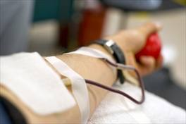 In Italia si dona più sangue ma i giovani rappresentano solo il 28% dei donatori In Italia si dona più sangue ma i giovani rappresentano solo il 28% dei donatori