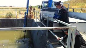 Mistero a Medicina: cadavere di 78enne in una vasca di drenaggio, carabinieri indagano Mistero a Medicina: cadavere di 78enne in una vasca di drenaggio, carabinieri indagano