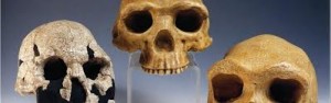 L'Homo erectus non era solo: scoperti tre nuovi fossili in Kenya