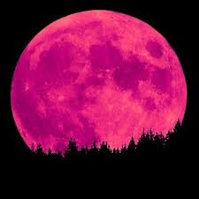 La Luna diventerà rosa: domenica straordinario fenomeno della Super Luna rosa