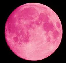 Domenica prossima la Luna diventerà rosa: tutti con lo sguardo all'insù